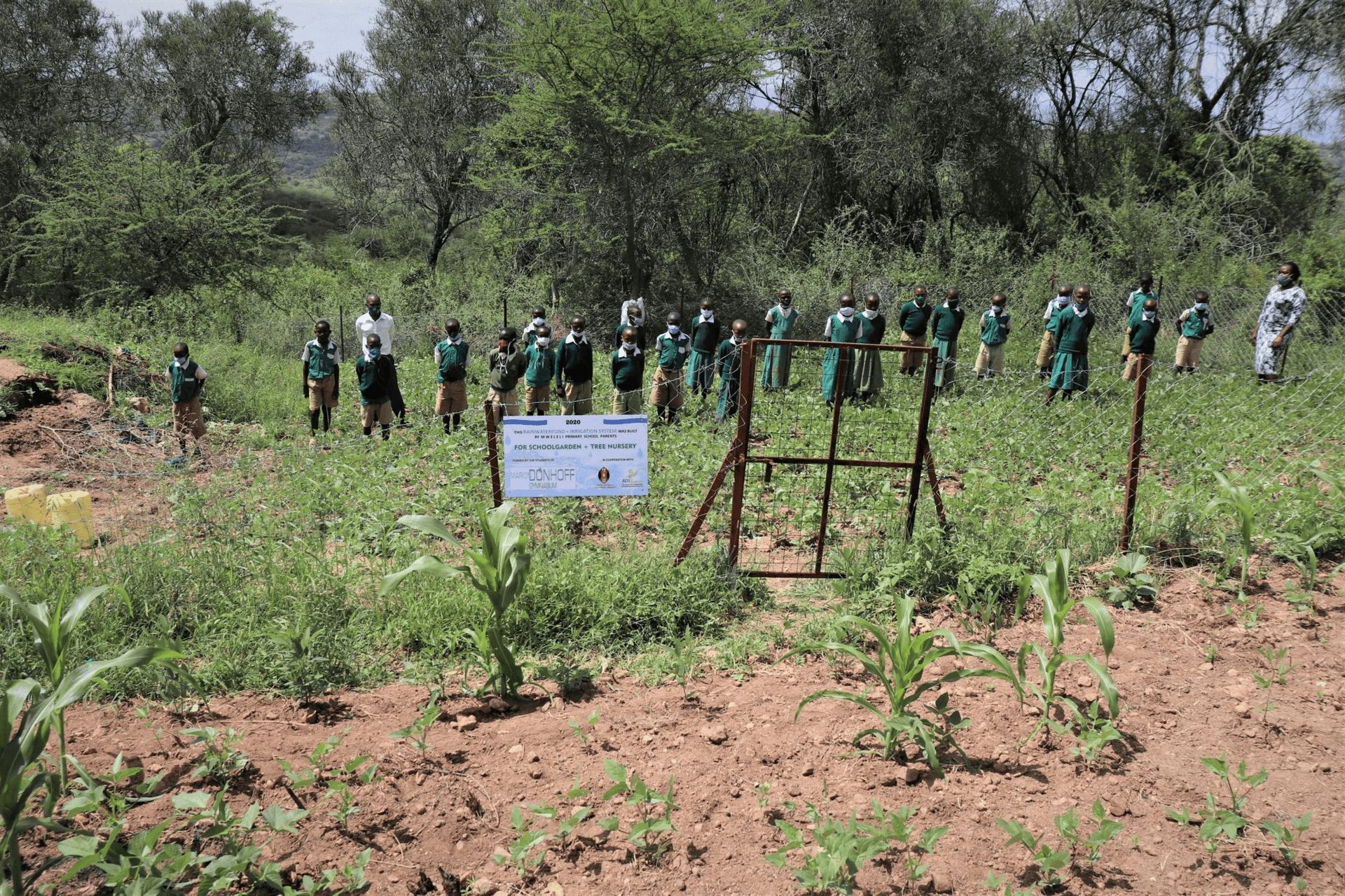 School garden supported by Marion-Dönhoff-Gymnasium